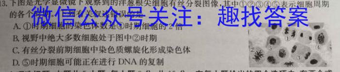 山东省青岛市2023年高一年级调研检测(2023.02)生物试卷答案