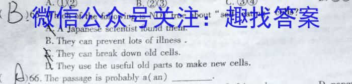 河池市2022年秋季学期高一年级教学质量检测英语