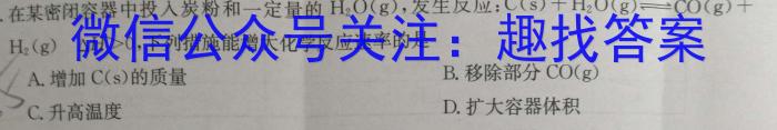 安徽第一卷·2023年九年级中考第一轮复习（十）化学