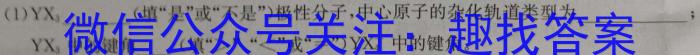 湖南省2023届高三一起考大联考(模拟二)化学