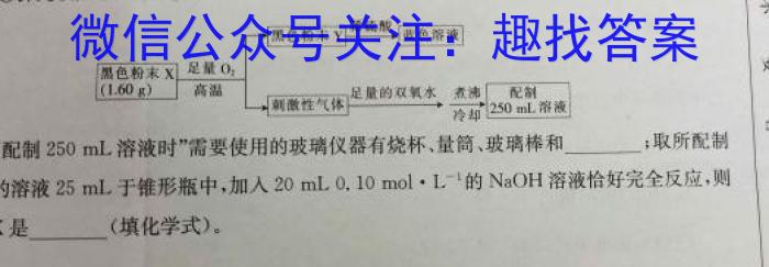 江西省2025届七年级第五次阶段适应性评估【R-PGZX A JX】化学