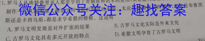 安徽第一卷·2023年九年级中考第一轮复习（五）历史