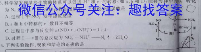 楚雄州中小学2022~2023学年上学期高二期末教育学业质量监测(23-212B)化学