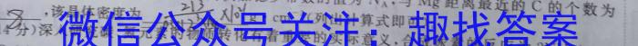 安徽第一卷·2023年九年级中考第一轮复习（十五）化学