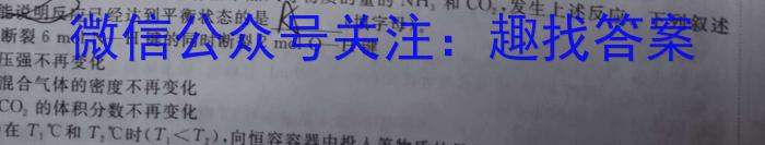 2023年陕西省初中学业水平考试·仿真摸底卷（A）化学