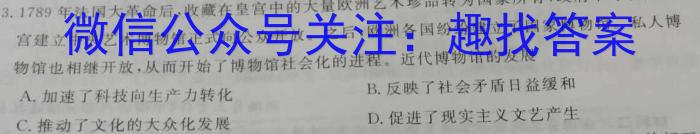 安徽省十联考 2022-2023学年度第二学期高二开学摸底联考(232394D)历史