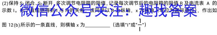 安徽省2023年名校之约·中考导向总复*模拟样卷（四）物理.