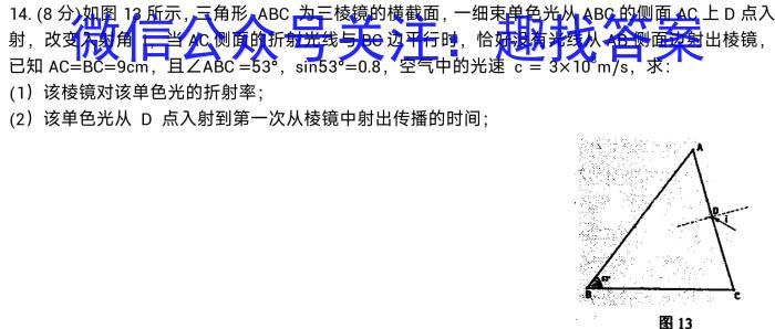 陕西省2023届九年级2月联考（23-CZ69c·金卷一）物理`