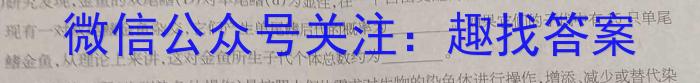 安徽省2023年九年级第一次教学质量检测(23-CZ140c)生物