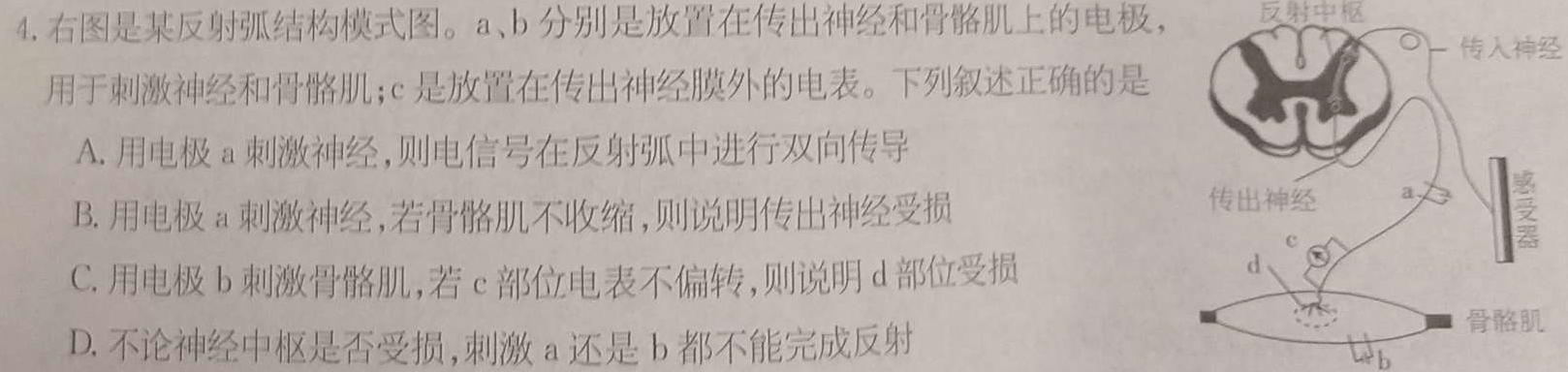 2024年衡阳市高一年级期末质量监测(2023.02)生物