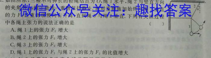 [潍坊一模]2023届潍坊市高考模拟考试(2023.2).物理