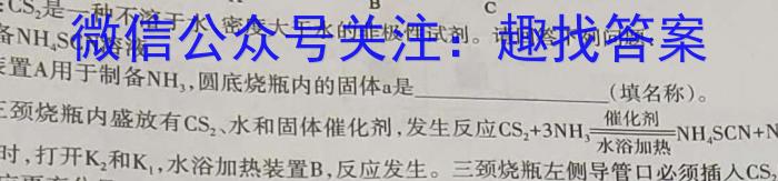安徽省芜湖市2023届初中毕业班教学质量模拟监测（一）化学
