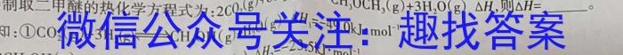 安徽省2023届九年级第一学期期末初中教学质量监测化学