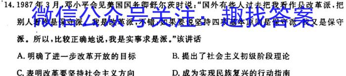 安徽第一卷·2023年九年级中考第一轮复习（十五）政治s