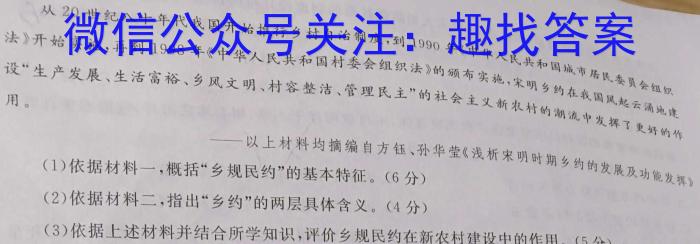 【全部更新】河南省新乡市封丘县2023届九年级上学期期终性评价测试卷（23-CZ103c）历史