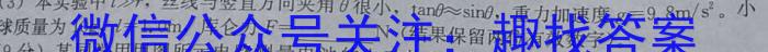 吉林省长春市九台区2024届八年级学业质量调研检测.物理