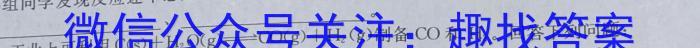 C20教育联盟2023年九年级第一次学业水平检测化学