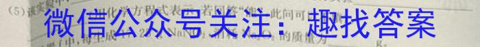 安徽省2023届九年级中考模拟试题卷（一）化学