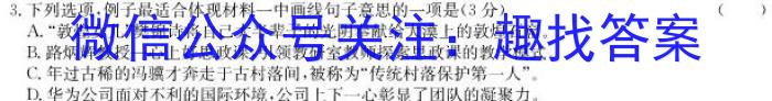 2022-023学年安徽省七年级下学期阶段性质量监测（五）政治1