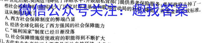 陕西省2024-2023学年度八年级开学学情检测（Y）历史