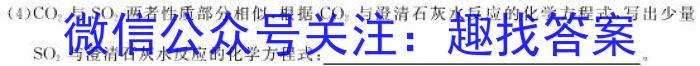 2022-2023学年安徽省九年级下学期阶段性质量监测化学