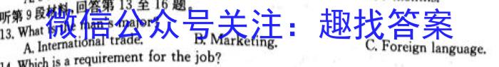 安徽省九年级2022-2023学年新课标闯关卷（十六）AH英语试题