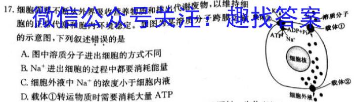 2023届蓉城名校联盟2020级高三第二次联考生物试卷答案