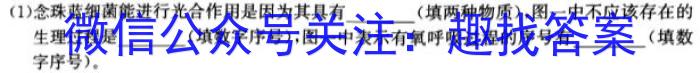 中考必刷卷·2023年安徽中考第一轮复习卷（一）生物