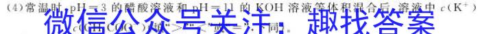 安徽第一卷·2023年九年级中考第一轮复习（八）化学