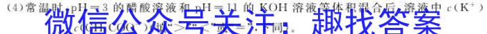 耀正文化(湖南四大名校联合编审)·2023届名校名师测评卷(五)5化学