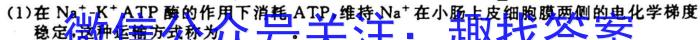 2022-2023学年安徽省九年级下学期阶段性质量监测生物试卷答案