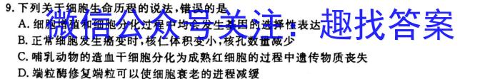 2023年普通高等学校招生全国统一考试 23·JJ·YTCT 金卷·押题猜题(四)4生物