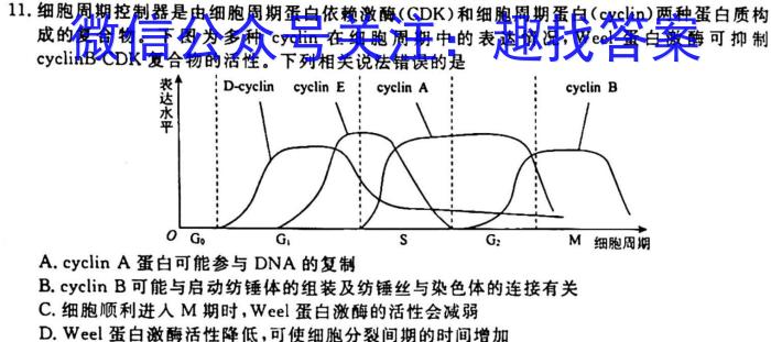 山西省2023年中考总复*预测模拟卷（四）生物试卷答案