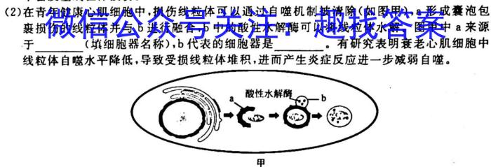 2023普通高等学校招生全国统一考试·冲刺押题卷 新教材(二)2生物