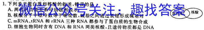 安徽省2025届同步达标月考卷·八年级下学期第一次月考生物试卷答案