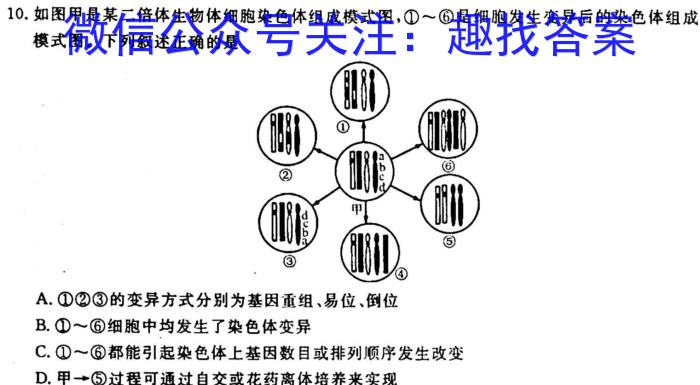 2023年普通高等学校招生全国统一考试·冲刺押题卷(二)2生物试卷答案