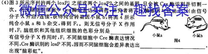 学普试卷 2023届高三第八次·新高考 模拟卷(八)8生物