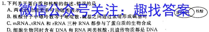 安徽省九年级2022-2023学年新课标闯关卷（十三）AH生物