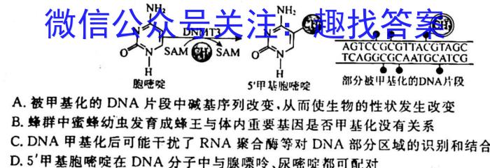 2023年全国名校高一第一学期期末考试（必修第一册-XJ-X-E-唐）生物