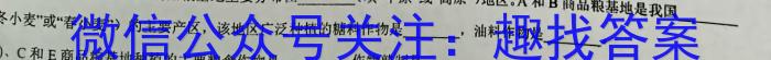 桂柳文化2023届高三桂柳鸿图信息冲刺金卷二(2)地.理