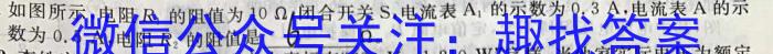 衡中同卷 2022-2023学年度下学期高三年级一调考试(新高考/新教材)物理.