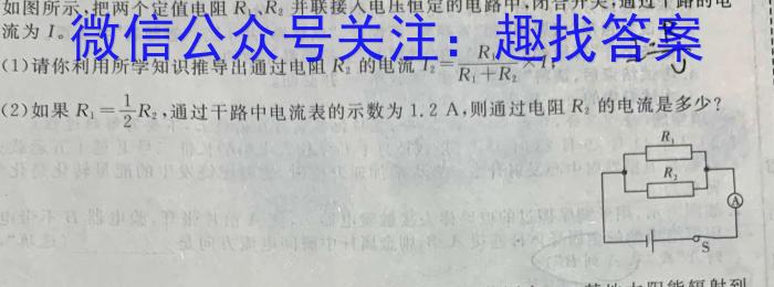 2023届高三九师联盟2月质量检测（新高考-河北）l物理