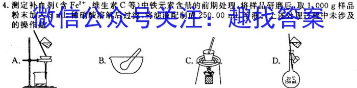 安徽省中考必刷卷·2023年名校内部卷（二）化学