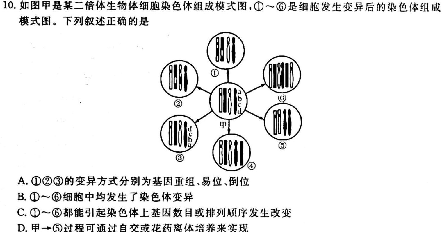 泸县五中2022-2023学年高一下学期月考生物