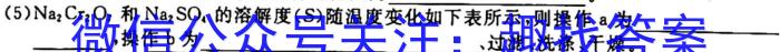 2023届成都二诊模拟考试化学