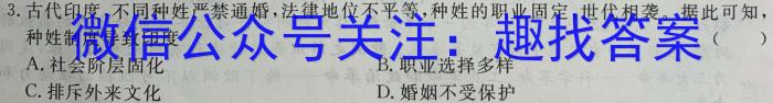 安徽第一卷·2023年中考安徽名校大联考试卷（一）B卷历史