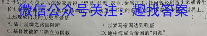 2023年普通高等学校招生全国统一考试名校联盟·模拟信息卷(五)5历史