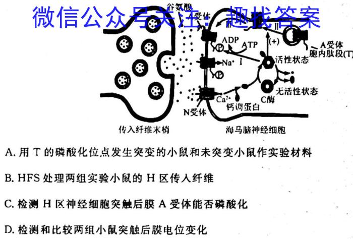 2023年湖北省七市(州)高三年级3月联合统一调研测试生物试卷答案