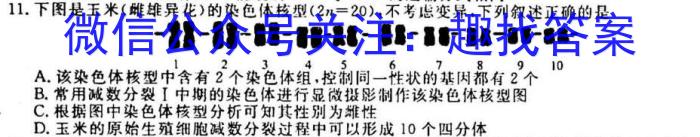 天一大联考2022-2023学年高中毕业班阶段性测试（五）生物试卷答案