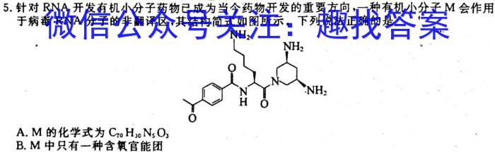 中考必刷卷·2023年安徽中考第一轮复习卷（二）化学